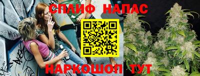 ГАЛЛЮЦИНОГЕННЫЕ ГРИБЫ Усть-Джегута